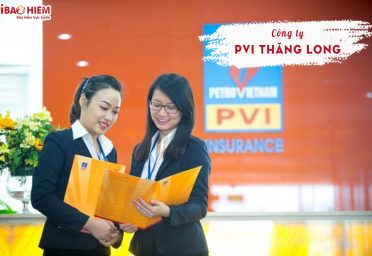 Công ty PVI Thăng Long Công ty PVI Thăng Long