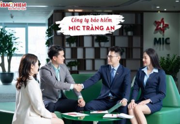 Công ty bảo hiểm MIC Tràng An Công ty bảo hiểm MIC Tràng An