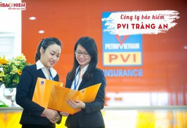 Công ty bảo hiểm PVI Tràng An