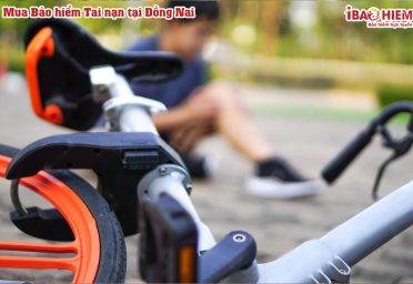 Mua bảo hiểm tai nạn tại Đồng Nai Mua bảo hiểm tai nạn tại Đồng Nai