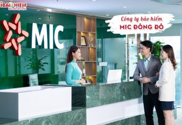 công ty bảo hiểm mic Đông Đô công ty bảo hiểm mic Đông Đô