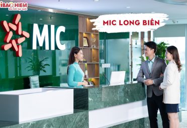 Công ty bảo hiểm MIC Long Biên
