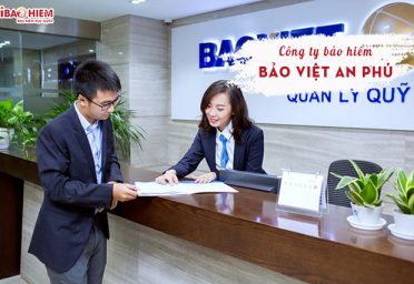 Công ty bảo hiểm Bảo Việt An Phú Công ty Bảo Việt An Phú