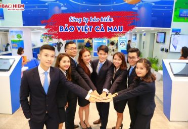 Công ty Bảo Việt Cà Mau