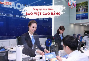 Công ty bảo hiểm Bảo Việt Cao Bằng