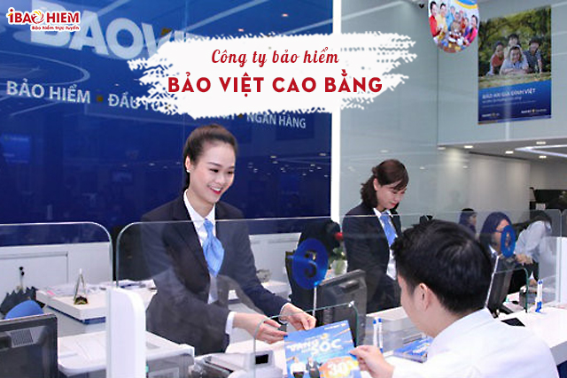 Công ty bảo hiểm Bảo Việt Cao Bằng