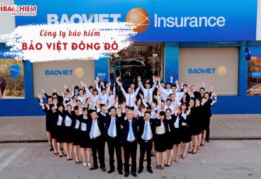 Công ty Bảo Việt Đông Đô