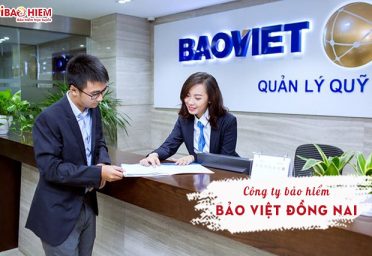 Công ty Bảo Việt Đồng Nai