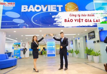 Công ty bảo hiểm Bảo Việt Gia Lai Công ty Bảo Việt Gia Lai