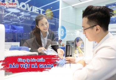 Công ty bảo hiểm Bảo Việt Hà Giang Công ty Bảo Việt Hà Giang