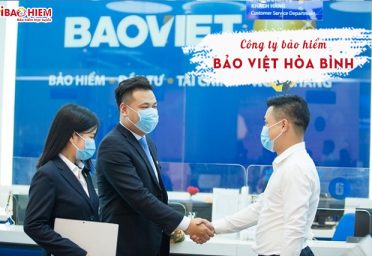 Công ty bảo hiểm Bảo Việt Hòa Bình Công ty Bảo Việt Hòa Bình