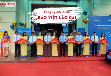 Công ty bảo hiểm Bảo Việt Lào Cai