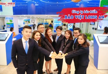 Công ty Bảo Việt Long An