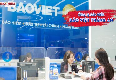 Công ty bảo hiểm Bảo Việt Tràng An