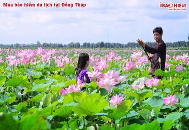Mua bảo hiểm du lịch tại Đồng Tháp