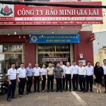 Công ty bảo hiểm Bảo Minh Gia Lai