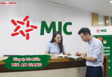 Công ty bảo hiểm MIC An Giang
