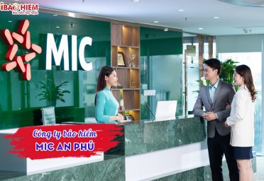 Công ty bảo hiểm MIC An Phú