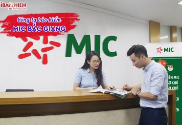 Công ty bảo hiểm MIC Bắc Giang