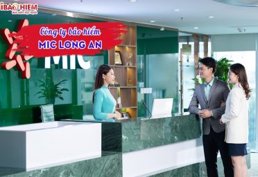 Công ty bảo hiểm MIC Long An Công ty bảo hiểm MIC Long An