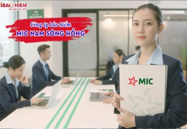 Công ty bảo hiểm MIC Nam Sông Hồng