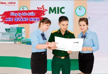 Công ty bảo hiểm MIC Quảng Ninh