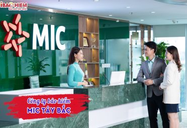 Công ty bảo hiểm MIC Tây Bắc
