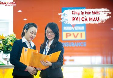 Công ty bảo hiểm PVI Cà Mau Công Ty bảo hiểm PVI Cà Mau