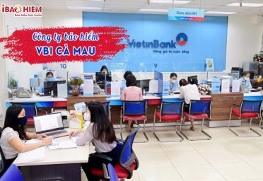 Công ty bảo hiểm VBI Cà Mau