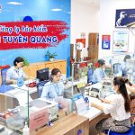 Công ty bảo hiểm VBI Tuyên Quang