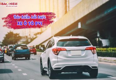 Bảo hiểm bắt buộc xe ô tô PVI
