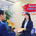 Công ty bảo hiểm PJICO Cà Mau