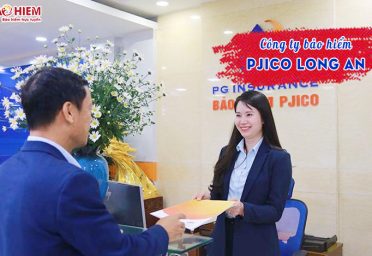 Công ty bảo hiểm PJICO Long An Công ty bảo hiểm PJICO Long An