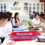 Công ty bảo hiểm PJICO Quảng Ngãi