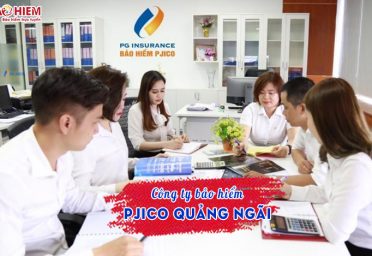 Công ty bảo hiểm PJICO Quảng Ngãi Công ty bảo hiểm PJICO Quảng Ngãi