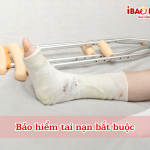 Bảo hiểm tai nạn bắt buộc