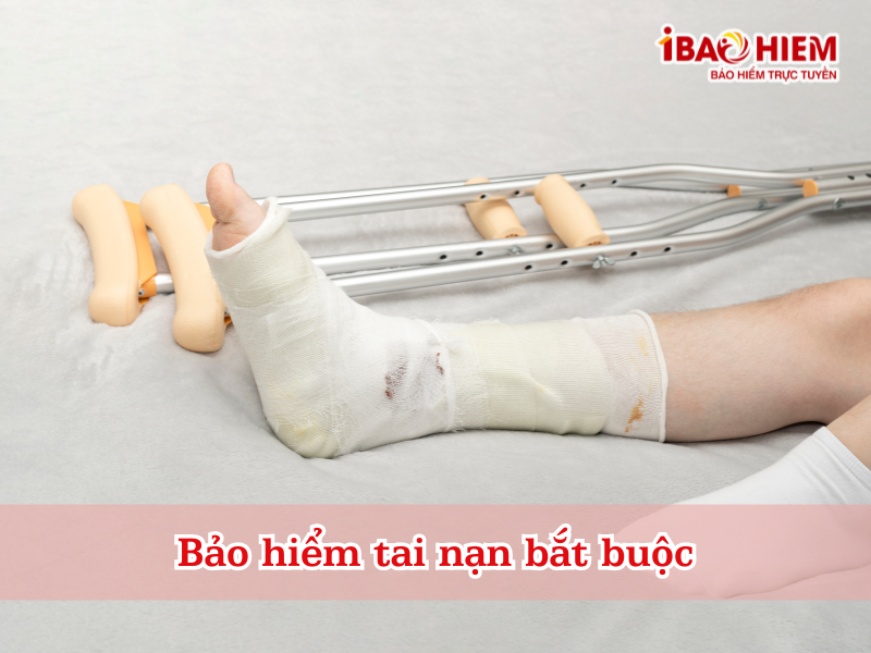 Bảo hiểm tai nạn bắt buộc