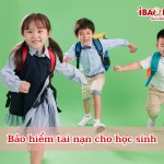 Bảo hiểm tai nạn cho học sinh