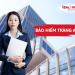 Bảo hiểm Tràng An 