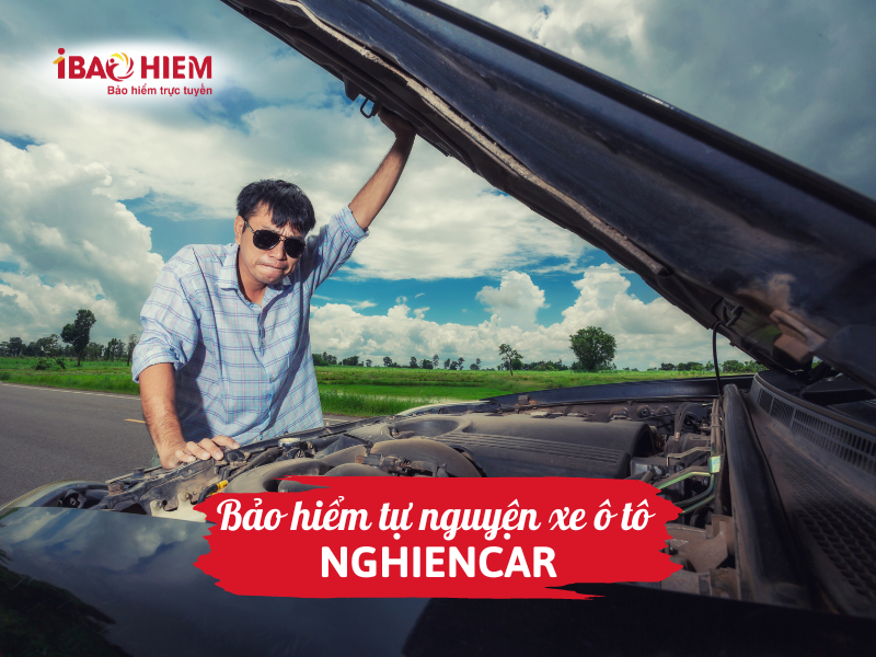 Bảo hiểm tự nguyện xe ô tô nghiencar