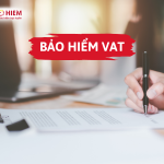 Bảo hiểm VAT