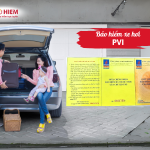 Bảo hiểm xe hơi PVI