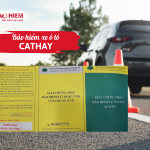 Bảo hiểm xe ô tô Cathay