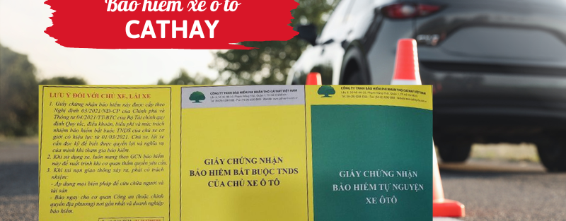 Bảo hiểm xe ô tô Cathay