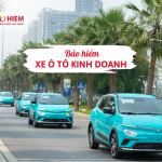 Bảo hiểm xe ô tô kinh doanh