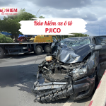Bảo hiểm xe ô tô Pjico