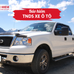 Bảo hiểm TNDS xe ô tô