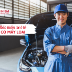 Bảo hiểm ô tô có mấy loại