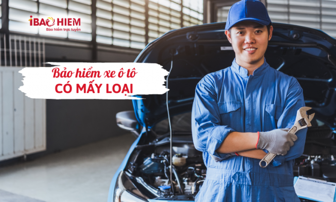 Bảo hiểm ô tô có mấy loại