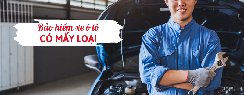 Bảo hiểm ô tô có mấy loại